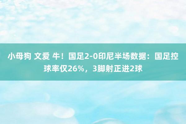 小母狗 文爱 牛！国足2-0印尼半场数据：国足控球率仅26%，3脚射正进2球